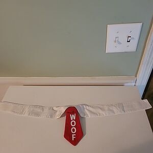 Dog Collar and Necktie